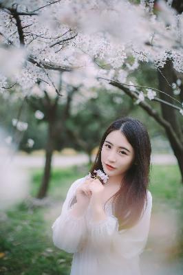 锦月如歌电视剧免费观看